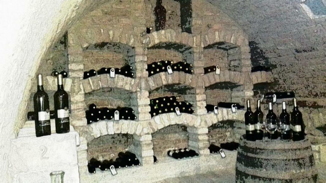 Ubytovani U Malinkovicu Břeclav Extérieur photo